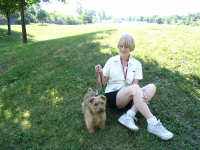 3rd Top Fundraiser - Rhoda Holder with Alvin, the Champion Norfolk Terrier